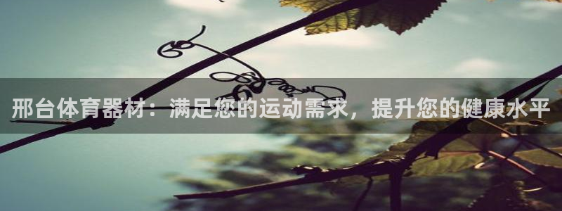 极悦平台用户评价与反馈在哪里：邢台体育器材：满足您的