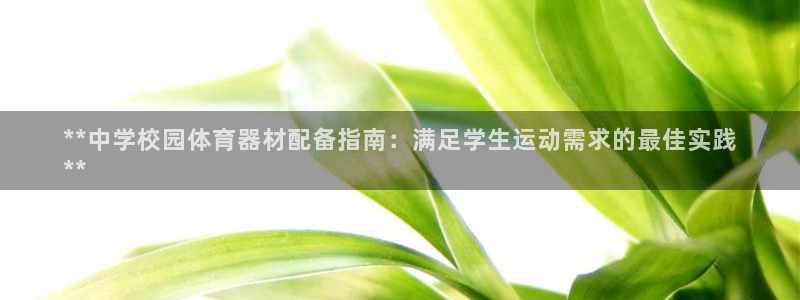 极悦平台注册用户名生成器：**中学校园体育器材配备指
