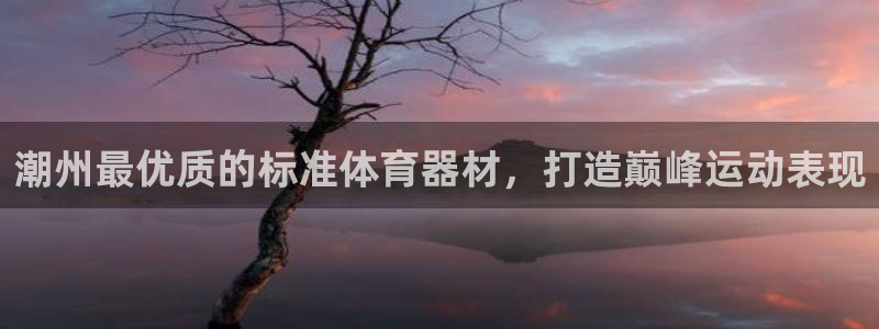 极悦娱乐官方网站：潮州最优质的标准体育器材，打造巅峰