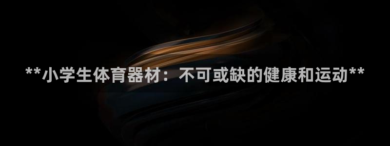 极悦平台注册流程视频：**小学生体育器材：不可或缺的