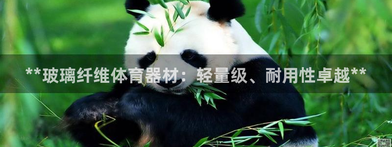 极悦是什么牌子空调：**玻璃纤维体育器材：轻量级、耐