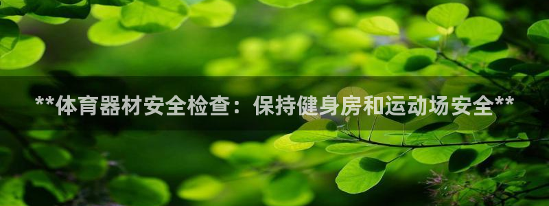 极悦平台官方网址：**体育器材安全检查：保持健身房和运动场安