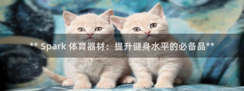 极悦平台注册用户名验证不了：** Spark 体育器