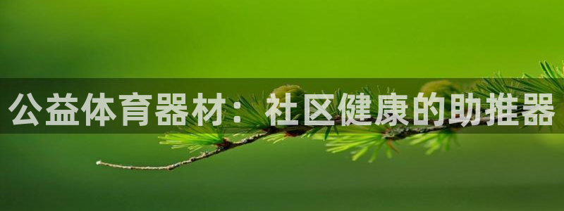 极悦平台代理怎么做：公益体育器材：社区健康的助推器