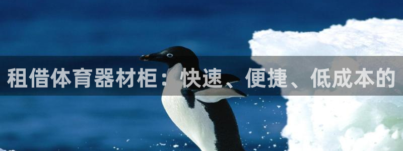 极悦娱乐挂机赚钱是真的吗安全吗：租借体育器材柜：快速