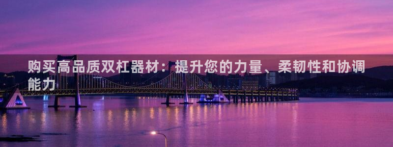 极悦平台与网易合作详情在哪：购买高品质双杠器材：提升