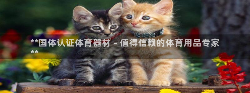 极悦官网入口登录网址：**国体认证体育器材 – 值得