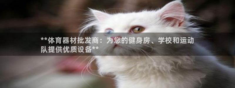 极悦平台官方网站入口网址：**体育器材批发商：为您的