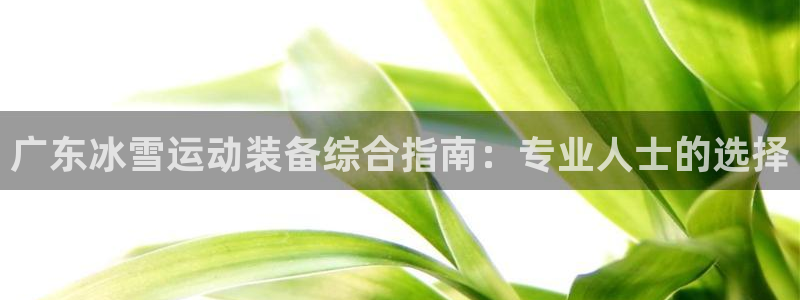 极悦平台注册流程图片：广东冰雪运动装备综合指南：专业