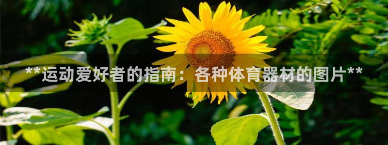 极悦官网下载最新版本更新内容：**运动爱好者的指南：