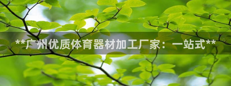 加盟极悦教育：**广州优质体育器材加工厂家：一站式*