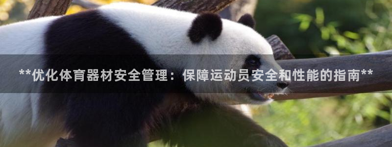 极悦平台非7O777：**优化体育器材安全管理：保障运动员安