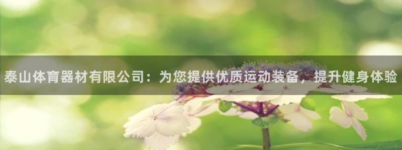 极悦平台平台登录入口：泰山体育器材有限公司：为您提供优质运动