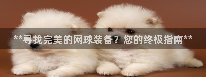 极悦平台官方网站入口网址