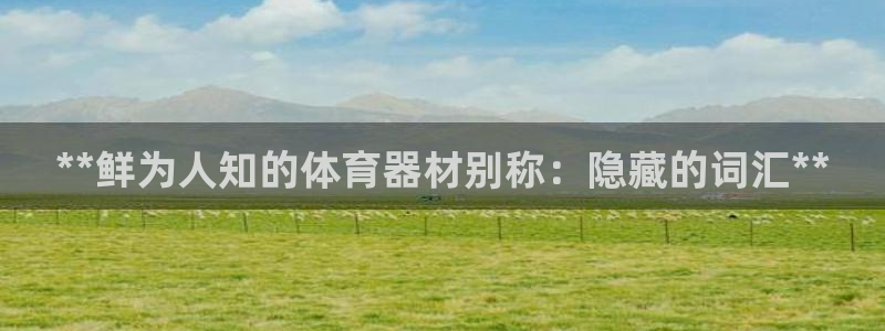 极悦平台官网登录网址查询：**鲜为人知的体育器材别称