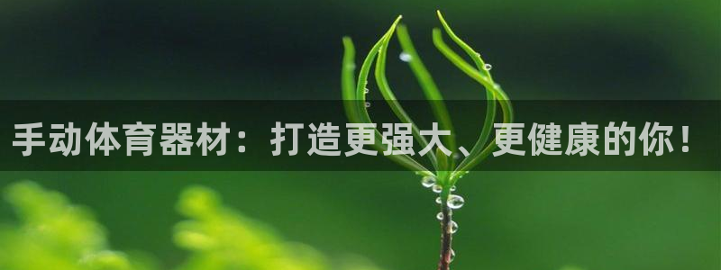 极悦娱乐创始人背景故事：手动体育器材：打造更强大、更