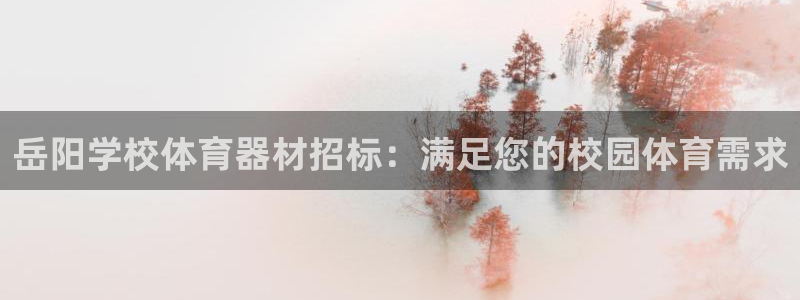 极悦平台和蓝狮平台区别：岳阳学校体育器材招标：满足您的校园体