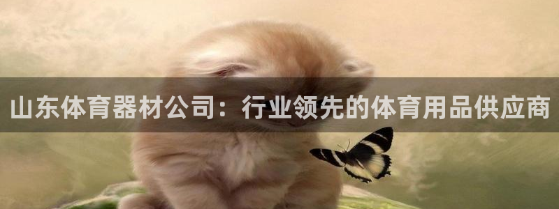 极悦平台登录最新版本更新内容：山东体育器材公司：行业领先的体