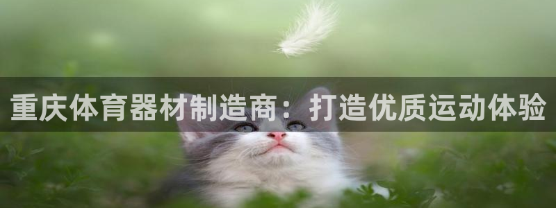 极悦平台用户评价在哪里看：重庆体育器材制造商：打造优质运动体
