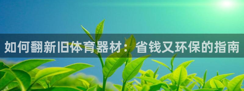 极悦平台代理怎么样可靠吗：如何翻新旧体育器材：省钱又