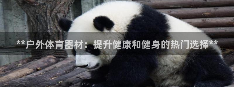 极悦平台官网登录网址查询：**户外体育器材：提升健康和健身的