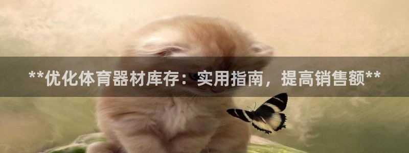 极悦平台注册流程详解图片：**优化体育器材库存：实用