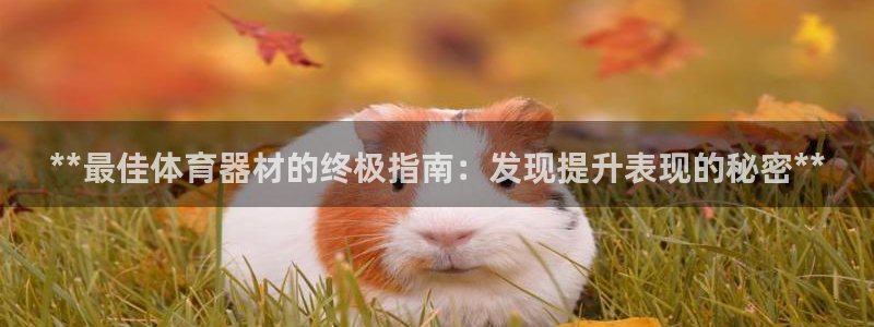 极悦平台用户评价与反馈在哪里：**最佳体育器材的终极指南：发