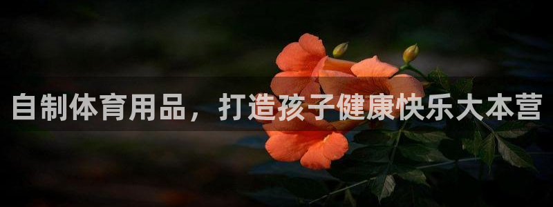 极悦平台的注册流程及注意事项是什么：自制体育用品，打