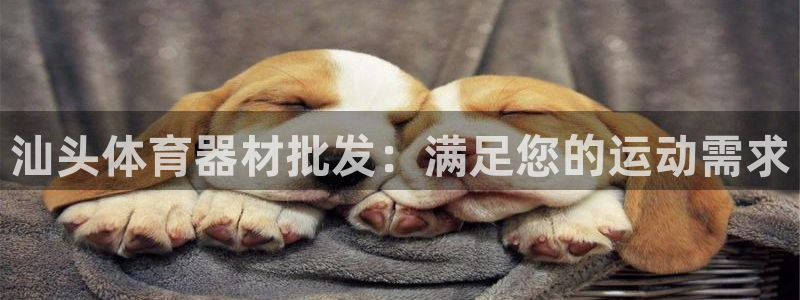 极悦娱乐的背景和历史背景是什么：汕头体育器材批发：满