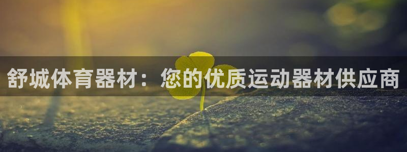 极悦娱乐的创始人背景故事是什么：舒城体育器材：您的优质运动器