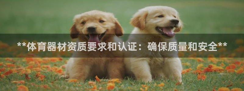 极悦平台注册和登录页面在哪：**体育器材资质要求和认