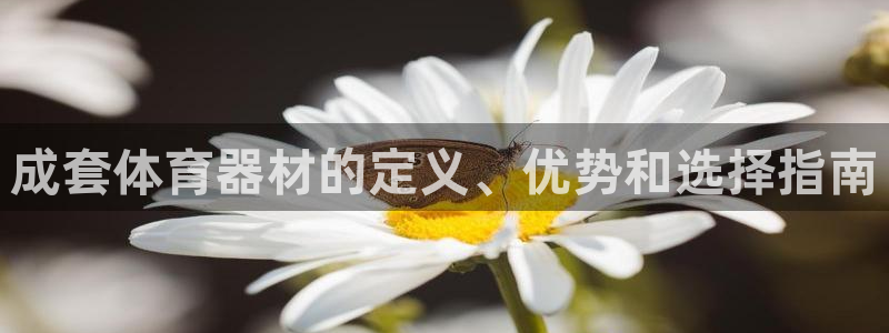 极悦娱乐的背景和历史背景：成套体育器材的定义、优势和