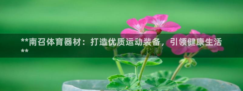极悦平台网址皮皮虾：**南召体育器材：打造优质运动装
