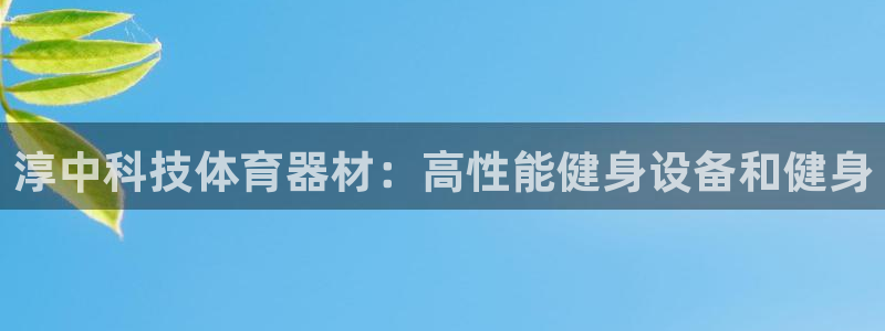 极悦平台注册用户名验证不了：淳中科技体育器材：高性能