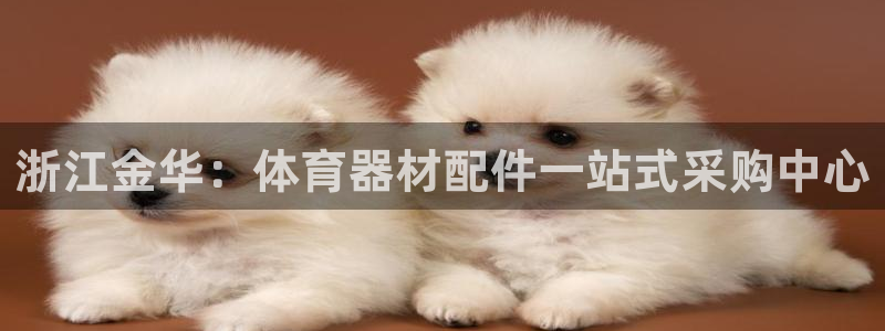 极悦平台注册资金多少亿：浙江金华：体育器材配件一站式