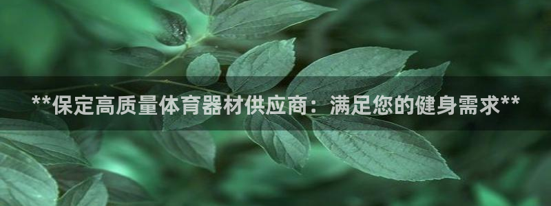 极悦娱乐app官方版本更新内容是什么：**保定高质量体育器材