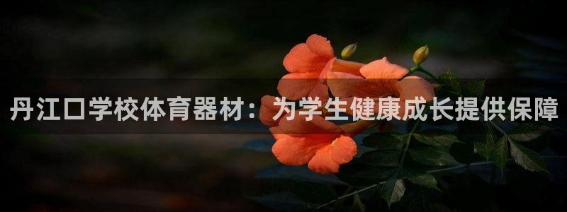 极悦娱乐百科百度贴吧：丹江口学校体育器材：为学生健康