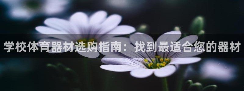 极悦官网入口登录：学校体育器材选购指南：找到最适合您