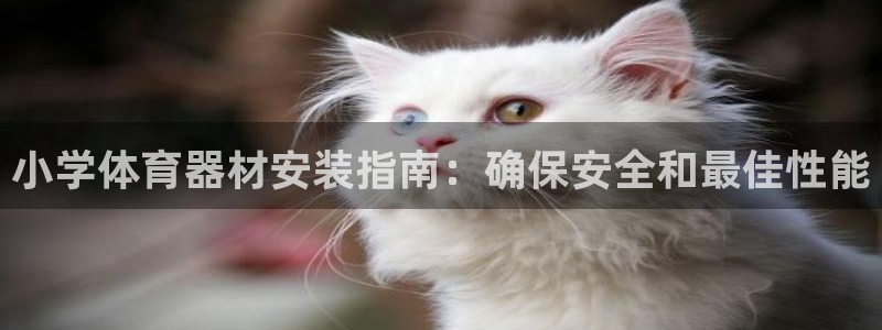 极悦娱乐公司最新招聘信息：小学体育器材安装指南：确保