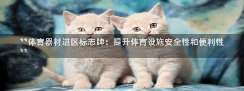 极悦平台使用教程视频：**体育器材进区标志牌：提升体
