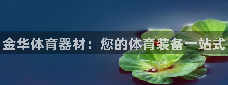 极悦平台注册资金多少钱：金华体育器材：您的体育装备一