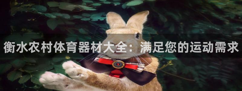极悦平台注册流程详解：衡水农村体育器材大全：满足您的
