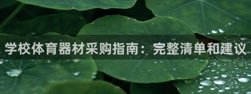 极悦平台代理怎么做赚钱：学校体育器材采购指南：完整清