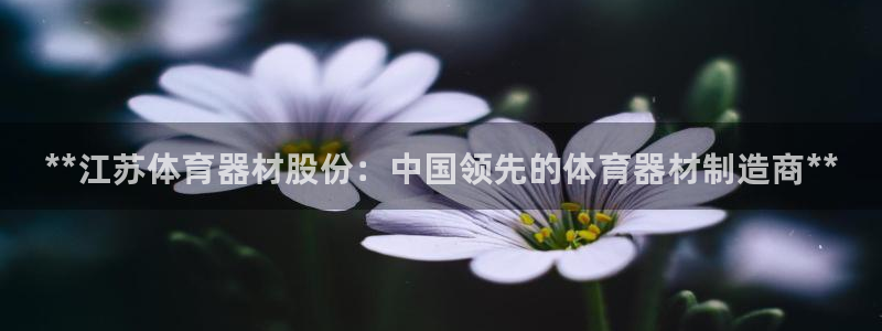 极悦平台代理怎么做赚钱：**江苏体育器材股份：中国领