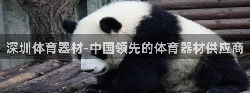 极悦平台创始人背景故事视频：深圳体育器材-中国领先的
