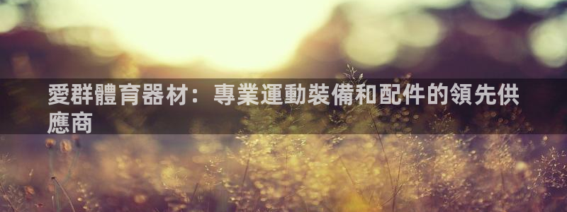 极悦娱乐代理多少钱一个月：愛群體育器材：專業運動裝備和配件的