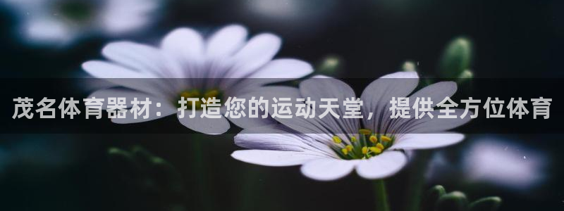 极悦官网首页登录入口下载：茂名体育器材：打造您的运动天堂，提