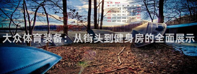 极悦官网下载最新版本更新内容视频