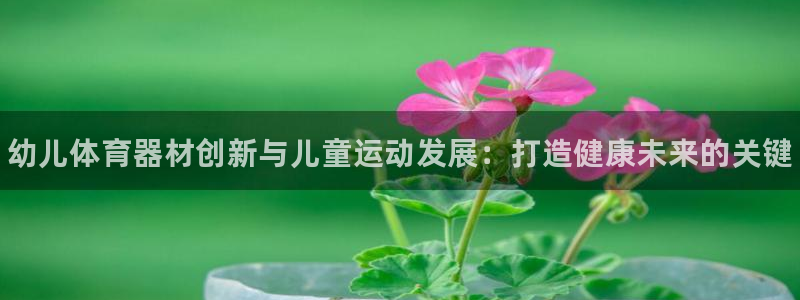 极悦生活家是什么平台的产品：幼儿体育器材创新与儿童运动发展：