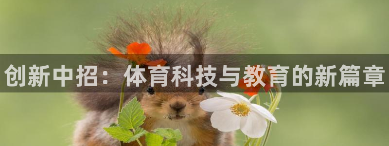 极悦平台德711.112的更新内容